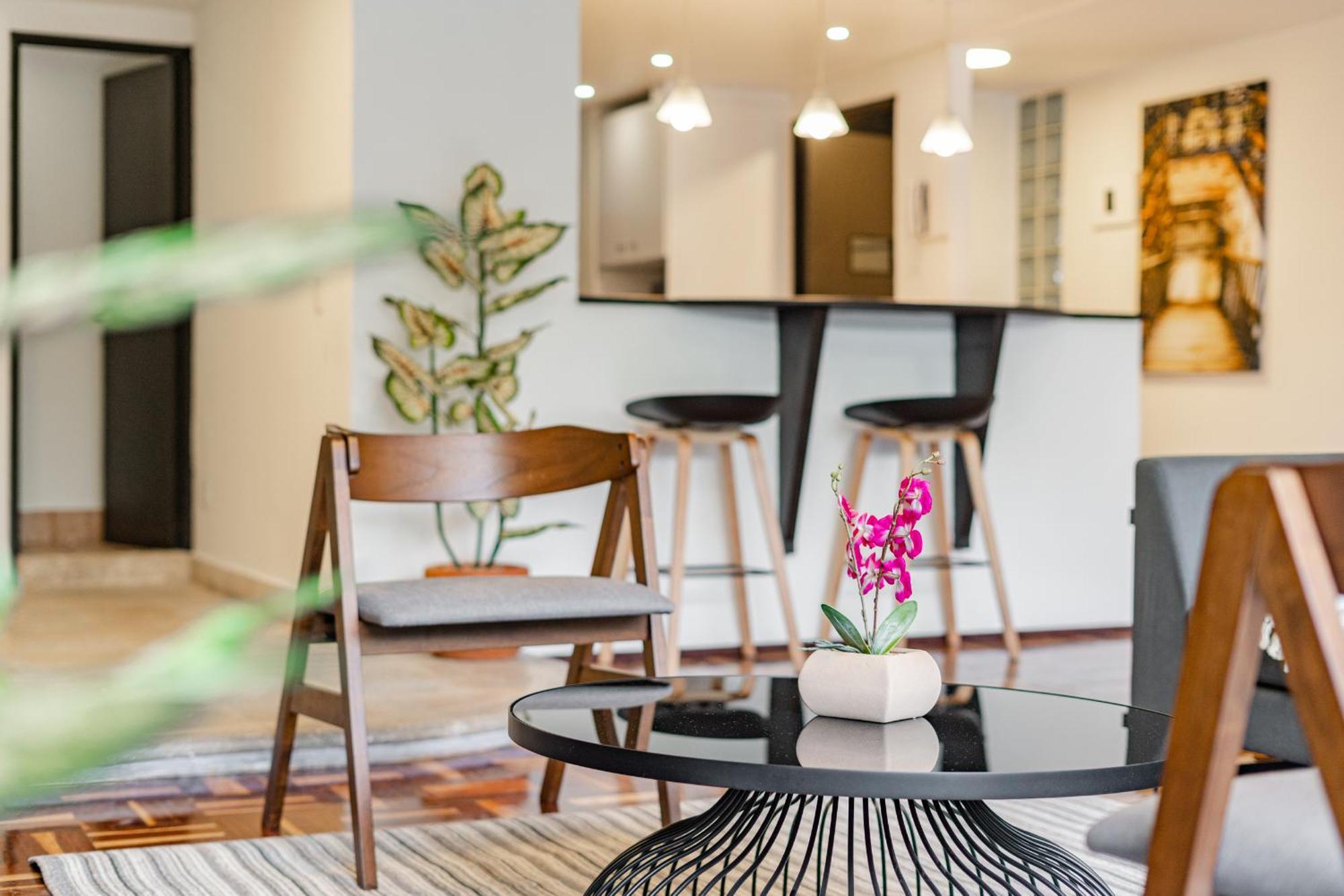 Apartment Parques Condesa By Vh Mexico City